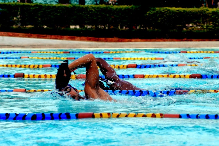 5 tips on how to Swim a great Freestyle 